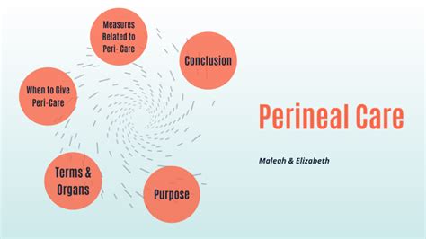 Perineal Care By Elizabeth Knerr