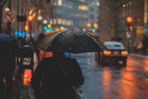 Rainy Day Person With Umbrella 5k Hd Photography 4k