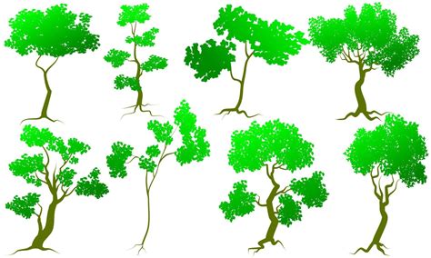 Vectors Tree Set Isolated On White Background 5056637 Vector Art At