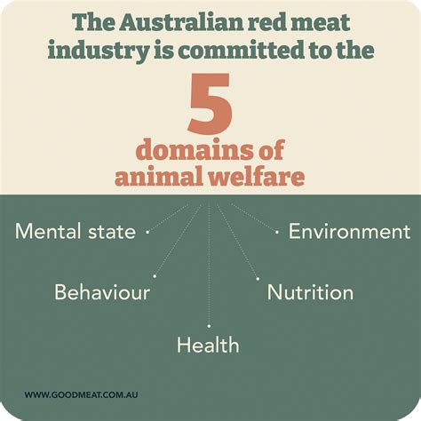 The Australian Red Meat Industry Commits To The Five Domains Of Animal