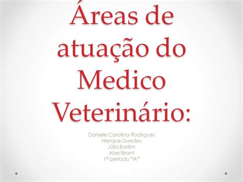 áreas De Atuação Do Médico Veterinário