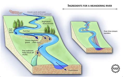 10052009 Alfalfa Sprouts Key To Discovering How Meandering Rivers Form