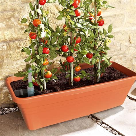 Self Watering Tomato Planter 100cm Portable Vegetable Planter Holds