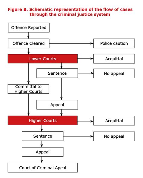 Criminal Justice System In Nsw Structure