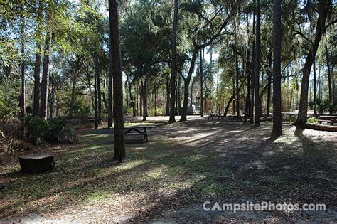 Hillsborough River State Park Campsite Photos Reservations And Info