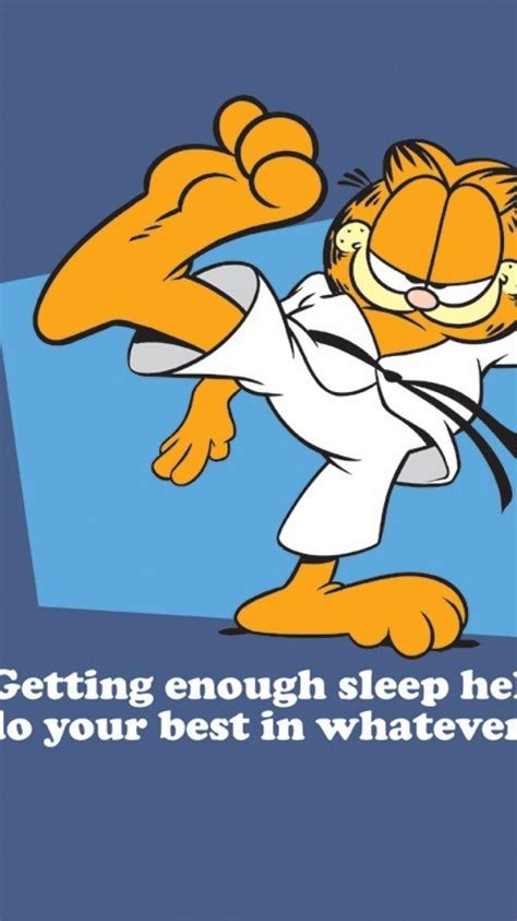 Garfield Wallpapers Quotes Wallpapersafari