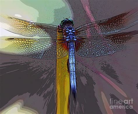 Dragonfly Digital Art By Elizabeth Mctaggart Fine Art America