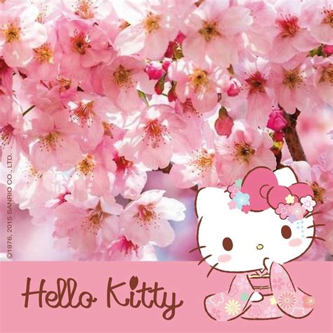 Hello Kitty Sakura Hello Kitty Hello Kitty Collection Kitty