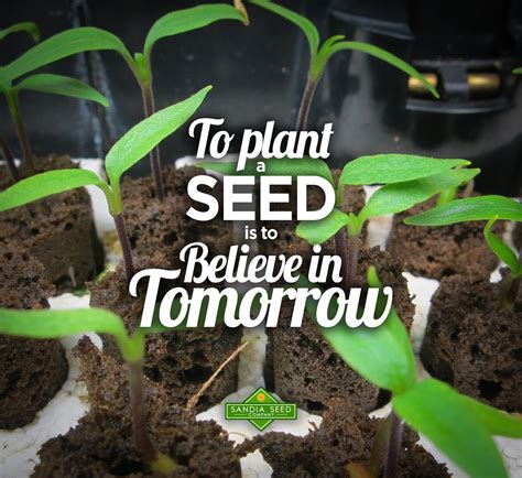 Garden Quotes Sandia Seed Company