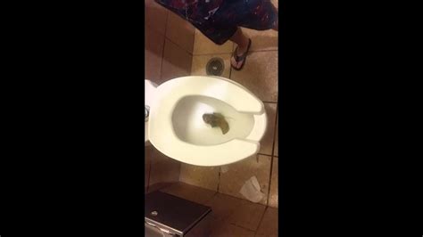 Worlds Largest Poop At Oasis Rest Stop In Chicago Youtube