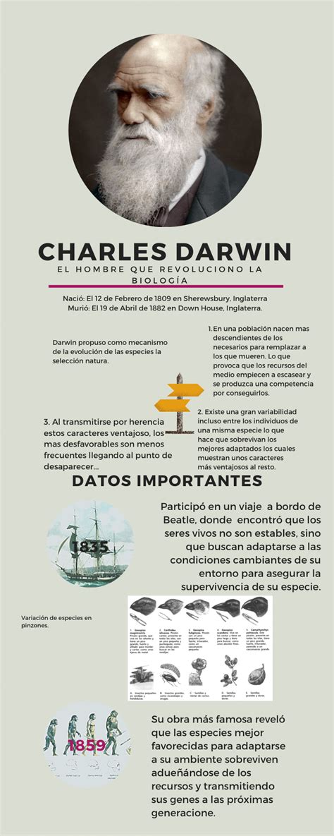 Cuadro Sinoptico De Charles Darwin Geno