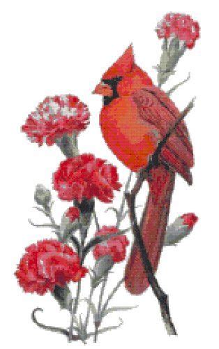 Check spelling or type a new query. Ohio State Bird and Flower Northern Cardinal and Scarlet ...