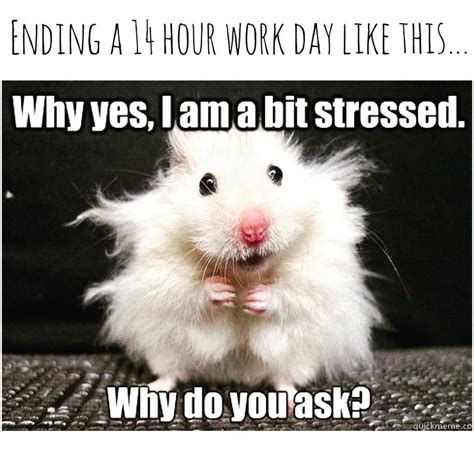Current Feels Work Stress Tired Boss Childcare School Memes