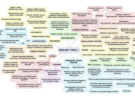 A Level Biology Topic Mind Map Teaching Resources