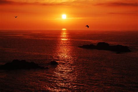 Sunset birds sky red sea islands calm beauty emotions clouds wallpaper | 3872x2592 | 643942 ...