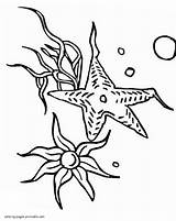 Coloring Sea Animals Stars Printable sketch template