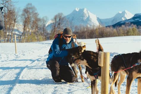 Husky Experience And Dog Sled Driving Noon Tour Tromso Noruega