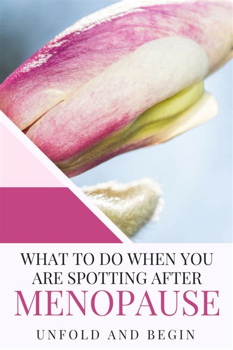 What To Do When You Are Spotting After Menopause Unfold And Begin