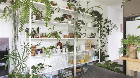 Gorgeous Indoor Potted Plant Arrangement Ideas Gardenideazcom
