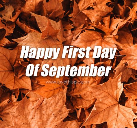 Leaves On Ground Happy First Day Of September Pictures Photos And