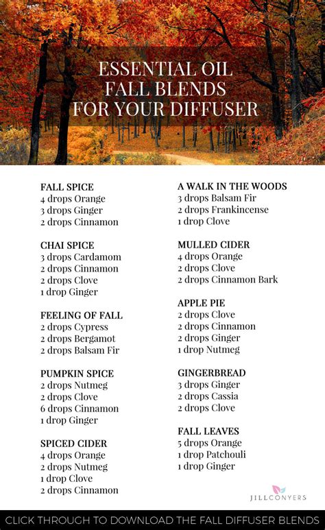 10 Wonderful Essential Oil Fall Blends For Your Diffuser Jill Conyers