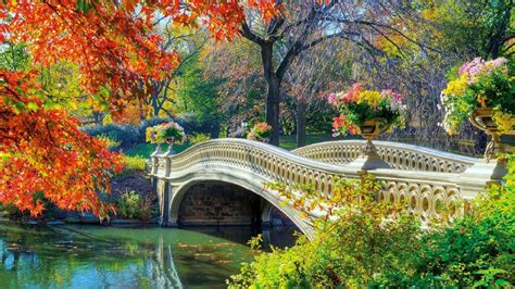 Romantic Bridge Autumn Flowers Attractions Dreams Photography Creative