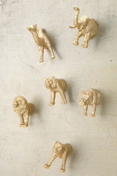 Animal Bust Magnet Set Of 6 Urban Outfitters