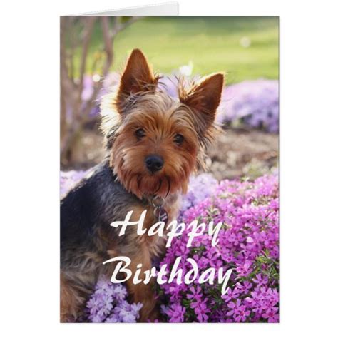 Yorkie Happy Birthday Card