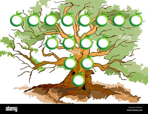 Diagrama De árbol Fotografías E Imágenes De Alta Resolución Alamy