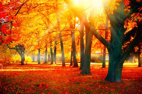 52 Amazing Inspiration Beautiful Pictures Of Nature In Autumn