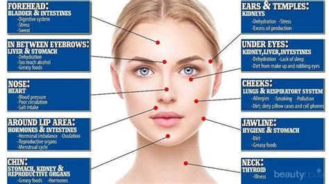 Perubahan hormon dan kurang menjaga kebersihan wajah juga jadi biang keladi lainnya. Punca Jerawat Di Muka