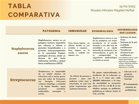 Cuadro Comparativo De Microorganismos Microbiologia P