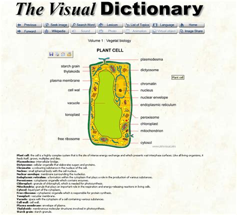 Visual Dictionary Retooled Resources For 21st Century Educators
