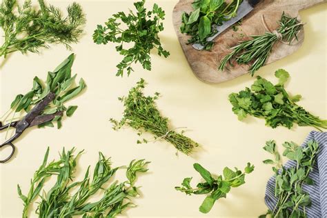 Guide To Storing Fresh Herbs What Foods They Pair Best With The
