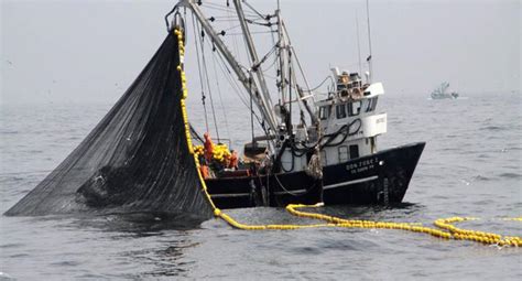 Pesca Industrial Vuelve A Insistir Con Ingresar Dentro De Las 5 Millas
