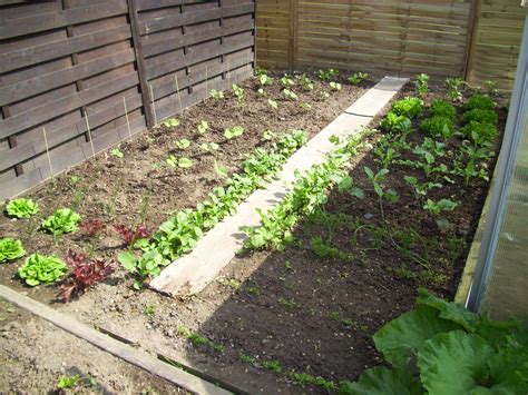 Der pionier der selbstversorgung, john seymour, zeigt und erklärt in seinem beliebten dauerseller, Selbstversorgung aus dem eigenen Garten - GU