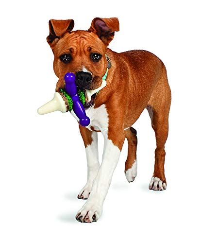 Nov 15, 2016 · i'm currently buying the dog food, although i do give chickpea treats from the kitchen. PetSafe Busy Buddy Ultra Refill Dog Treats for Large Busy Buddy Ultra Dog Toys, Natural Rawhide ...