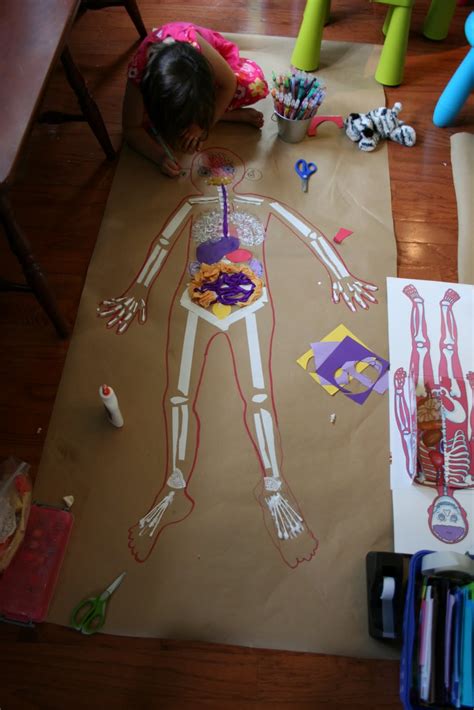 human body crafts idea  kids preschool  kindergarten