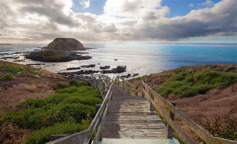 Things To Do In Phillip Island A Complete Guide Melbourne Girl Stuff