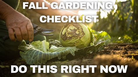 Fall Gardening Checklist 9 Things You Should Do In Your Garden Now