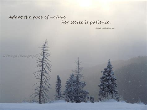30 Best Winter Quotes To Help You Celebrate The Holiday Season Travel
