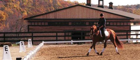 Willow Creek Farm Southbury Ct Horse Boarding Stables And Training