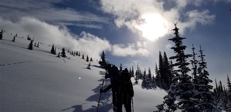 Ski touring haven at Purcell Mountain Lodge | Ski touring, Touring, Skiing