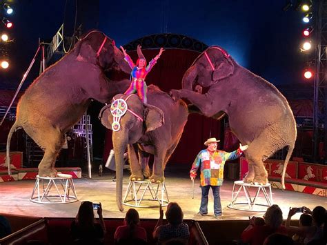 Circus World Baraboo All You Need To Know Before You Go