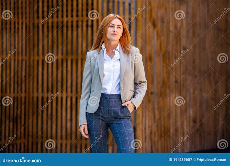 portrait of successful business woman stock image image of attractive lady 194339657