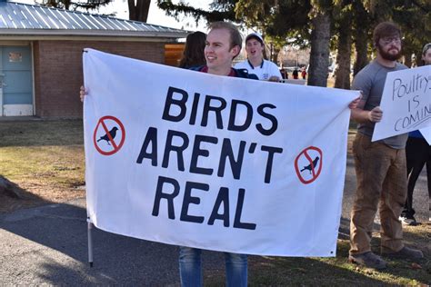 Birds aren't real - BYU-I Scroll