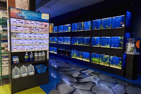 Friendly Pets In 2023 Aquarium Shop Aquarium Fish Store Aquarium Store