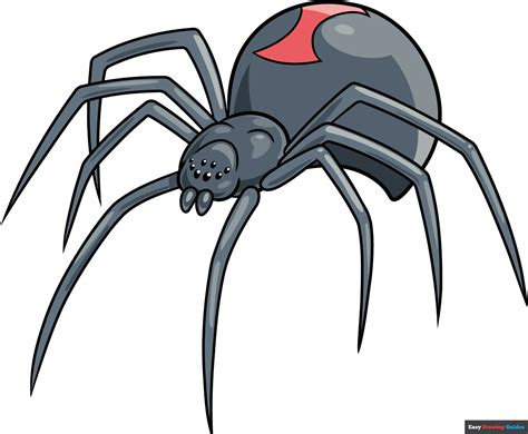 How To Draw A Black Widow Spider Really Easy Drawing Tutorial