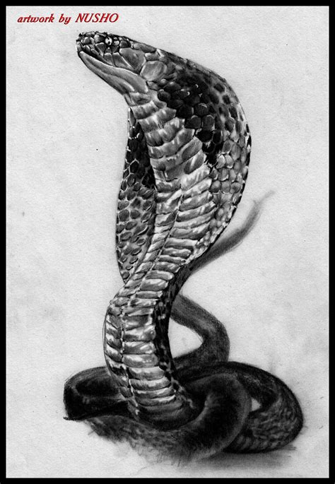 King Cobra Змеиный арт Идеи для татуировок Эскиз