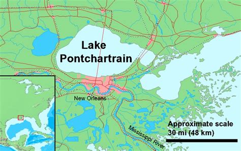 Living Pterosaurs In Louisiana Usa Live Pterosaur